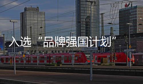 正如丁威先生所说