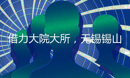 借力加速必须借力大院大所
