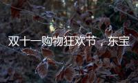 双十一购物狂欢节�，东宝床垫为爱“让利”