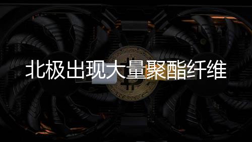 北极这些微塑料的出现危害