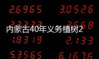 快排公司十年历程，霸屏兔 seo 的崛起与坚守