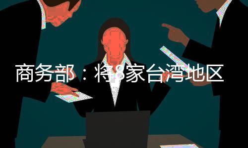 本公告自公布之日起正式实施