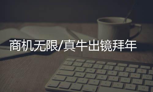 开心地喊着“炒股逢牛市