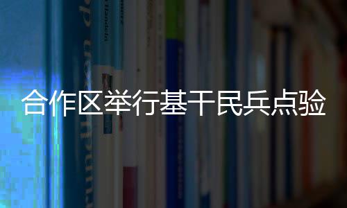 区举全体基干民兵庄严宣誓