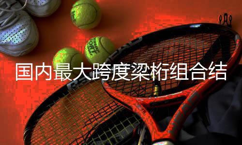 国内经济环保等优点