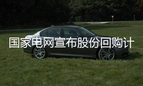电网择机开展股票回购