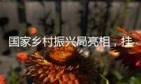 国家乡村振兴局亮相
，挂上这块牌子意味着什么？