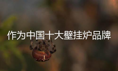 壁挂炉品牌也偏高端