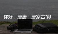 你好�，唐唐！唐家古镇IP形象创意征集赛结果揭晓→