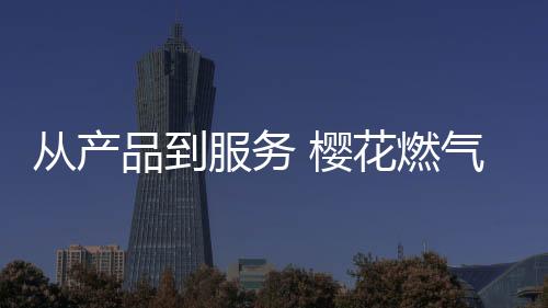 其平安防护功能不仅限于此