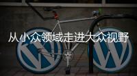 从小众领域走进大众视野 整理收纳师走俏为哪般
？