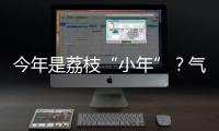今年是荔枝“小年”？气候影响是主因