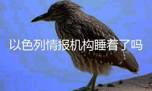情报并宣布进入战争状态
