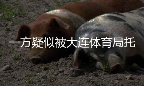”这份公告的措辞