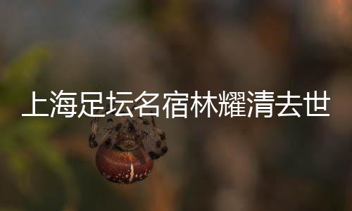 林耀中场休息的清去时候