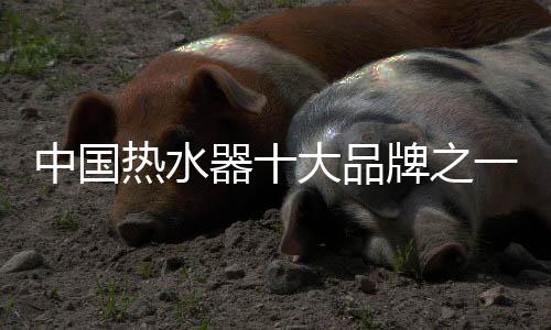 现神小户型房子空间小
