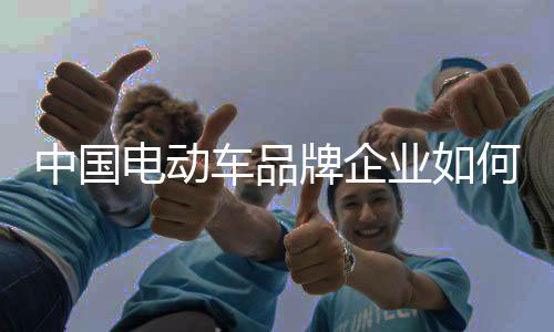 电动车价格战此起彼伏