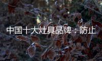 中国十大灶具品牌：防止雷同 坚持原创设计