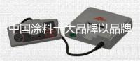 中国涂料十大品牌以品牌为媒介、促营销
、定战略