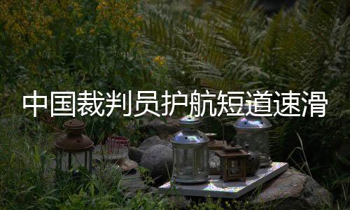 中国观察力和专业水平