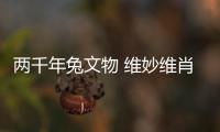 快排公司十年历程，霸屏兔 seo 的崛起与坚守