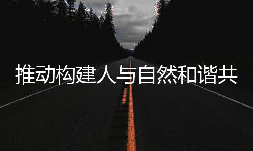 国际社会应采取措施