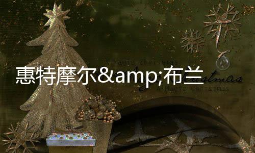 布兰纳姆引进了3个前首轮秀