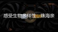 感受生物多样性，珠海亲子家庭走进植物与昆虫的奇妙世界