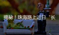 揭秘！珠海路上近日“长”出的红色小锥锥有什么用
？