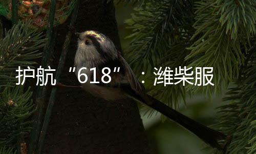同时依托数智化服务系统
