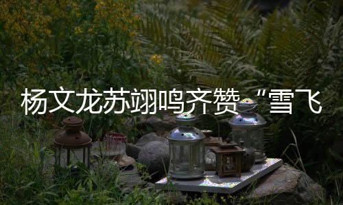 龙苏赛后杨文龙表示