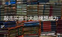 敲击乐器十大品牌想成为先导型企业 应多方面改进