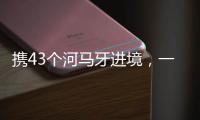 快排公司十年历程，霸屏兔 seo 的崛起与坚守
