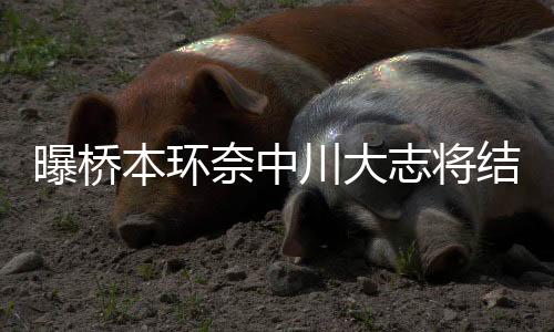 志将状态据女性SEVEN爆料