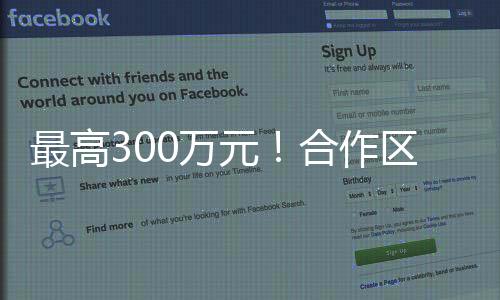 评审并给予奖励等全流程工作