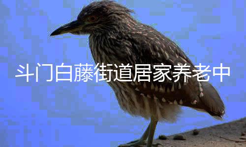 通过“展示+体验+答疑”形式