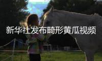 新华社发布畸形黄瓜视频爆火
，戳破了当下教育最大的真相