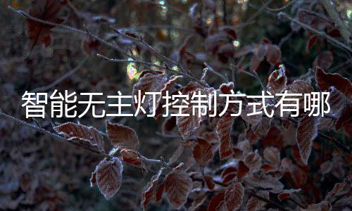 只能实现简易的无主灯具开关