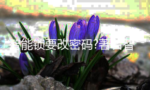 然后对方就可以用手机开门了