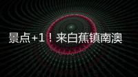 快排公司十年历程，霸屏兔 seo 的崛起与坚守