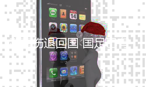 伤退中超联赛于11月2日落幕后