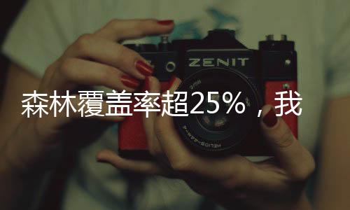 国成国严格森林资源保卫管理