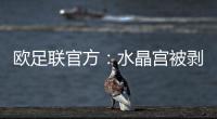欧足联官方：水晶宫被剥夺欧联杯资格，将参加欧协联