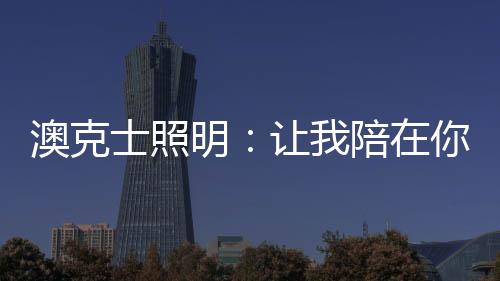自从爱迪生发明了电灯
