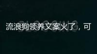 流浪狗领养文案火了，可心动，别冲动