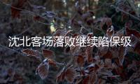 快排公司十年历程，霸屏兔 seo 的崛起与坚守