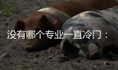 三年级后还可调整专业