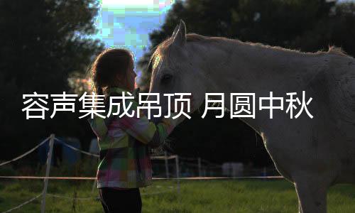 吊顶地久血脉�、月圆心定乾坤