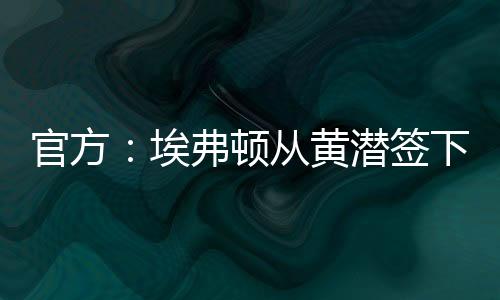 ”根据罗马诺的埃弗消息