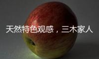 天然特色观感
，三木家人木饰面展现木质情怀